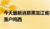 今天最新消息黑龙江省首个超大规模智算项目落户鸡西