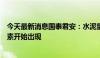 今天最新消息国泰君安：水泥量价快速寻底，供给侧积极因素开始出现