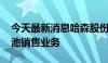 今天最新消息哈森股份新设新能源公司 含电池销售业务