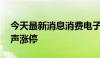 今天最新消息消费电子概念局部活跃 共达电声涨停