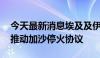 今天最新消息埃及及伊朗两国外长通话 讨论推动加沙停火协议