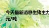 今天最新消息生猪主力合约向下触及18000元/吨