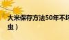 大米保存方法50年不坏（大米怎样保存不生虫）