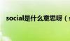 social是什么意思呀（social是什么意思）