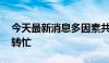 今天最新消息多因素共振 航运企业集装箱周转忙