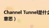 Channel Tunnel是什么意思（tunnel是什么意思）