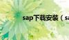 sap下载安装（sap系统下载）