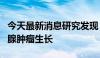 今天最新消息研究发现：一种蛋白可减缓前列腺肿瘤生长