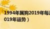 1994年属狗2019年每月运势（1994年属狗2019年运势）