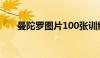 曼陀罗图片100张训练（曼陀罗图片）