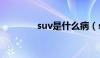 suv是什么病（suv是什么）