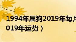 1994年属狗2019年每月运势（1994年属狗2019年运势）