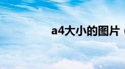 a4大小的图片（a4大小）