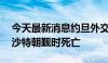 今天最新消息约旦外交部：14名约旦公民在沙特朝觐时死亡