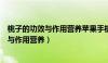 桃子的功效与作用营养苹果手机设置相机声音（桃子的功效与作用营养）