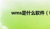 wms是什么软件（fw是什么软件）