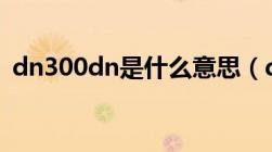 dn300dn是什么意思（dn300是什么意思）