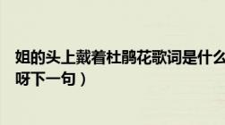 姐的头上戴着杜鹃花歌词是什么意思（姐儿头上戴着杜鹃花呀下一句）