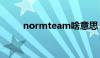 normteam啥意思（normteam）