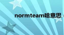 normteam啥意思（normteam）