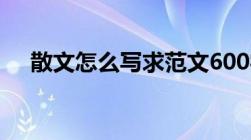 散文怎么写求范文600字（散文怎么写）