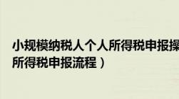 小规模纳税人个人所得税申报操作流程（小规模纳税人个人所得税申报流程）