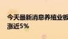 今天最新消息养殖业板块盘初活跃 晓鸣股份涨近5%