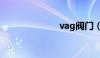 vag阀门（vag）