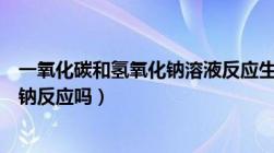 一氧化碳和氢氧化钠溶液反应生成什么（一氧化碳与氢氧化钠反应吗）