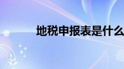 地税申报表是什么（地税申报）