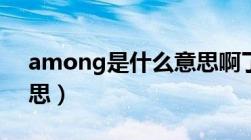 among是什么意思啊了（among是什么意思）