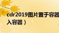 cdr2019图片置于容器内（cdr2019图片置入容器）