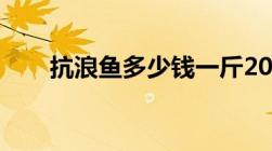 抗浪鱼多少钱一斤2023年（抗浪鱼）