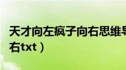 天才向左疯子向右思维导图（天才向左疯子向右txt）