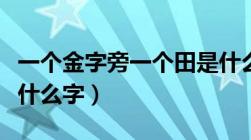 一个金字旁一个田是什么字（金字旁一个田是什么字）