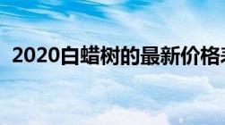 2020白蜡树的最新价格表（白蜡树价格表）