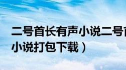 二号首长有声小说二号首长2（二号首长有声小说打包下载）