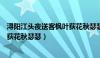 浔阳江头夜送客枫叶荻花秋瑟瑟全诗（浔阳江头夜送客枫叶荻花秋瑟瑟）