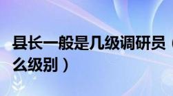 县长一般是几级调研员（调研员和巡视员是什么级别）