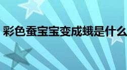 彩色蚕宝宝变成蛾是什么颜色（彩色蚕宝宝）