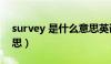 survey 是什么意思英语（survey 是什么意思）