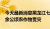 今天最新消息黑龙江七台河市强降雨致6000余公顷农作物受灾