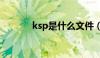 ksp是什么文件（ksp是什么）