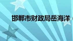 邯郸市财政局岳海洋（邯郸市财政局）