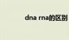 dna rna的区别（dna rna）