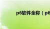 p6软件全称（p6软件是什么）