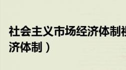 社会主义市场经济体制视频（社会主义市场经济体制）