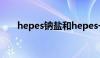 hepes钠盐和hepes一样吗（hepes）