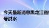 今天最新消息黑龙江省蚂蚁河发生2024年第1号洪水