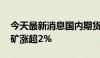 今天最新消息国内期货主力合约涨跌不一 铁矿涨超2%